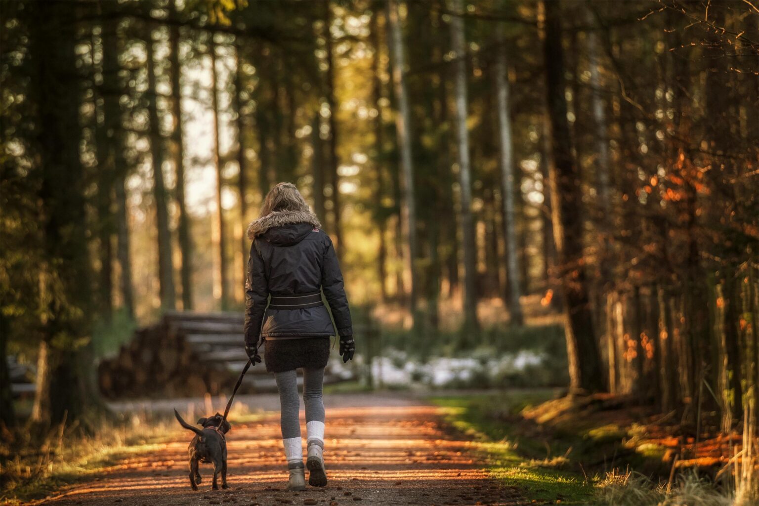 Woman walking her dog on a path for exercise