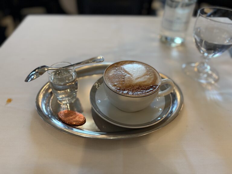 A cup of cappuccino in a nice cup served just for one.